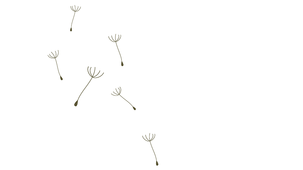 Logo für Psychotherapie bzw. Psychotherapeutin mit aussagekräftigem Symol einer Pusteblume