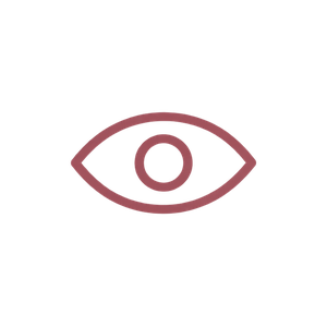 03_auge_transparent